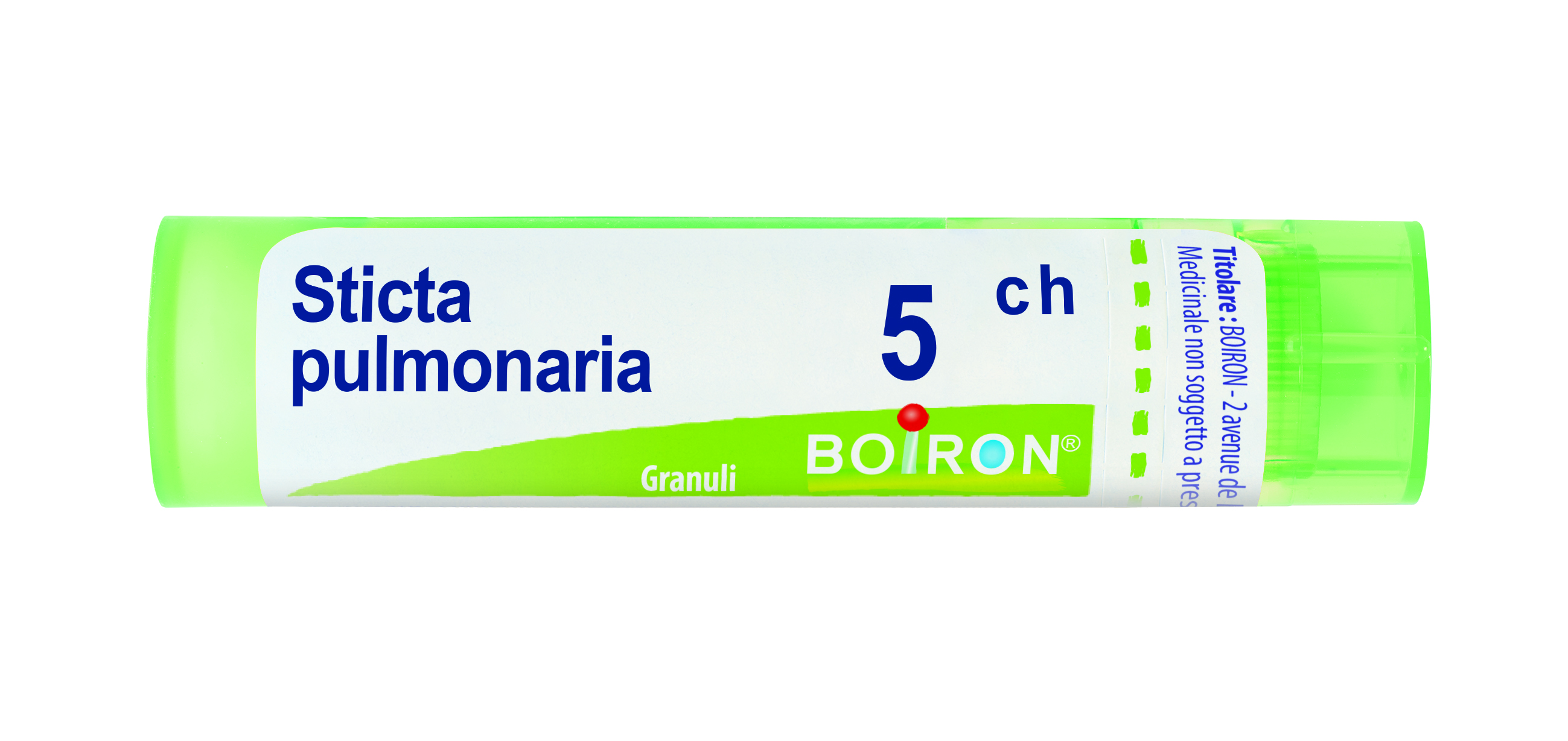 STICTA PULM BOI*5CH GR 4G - Fontenova srl