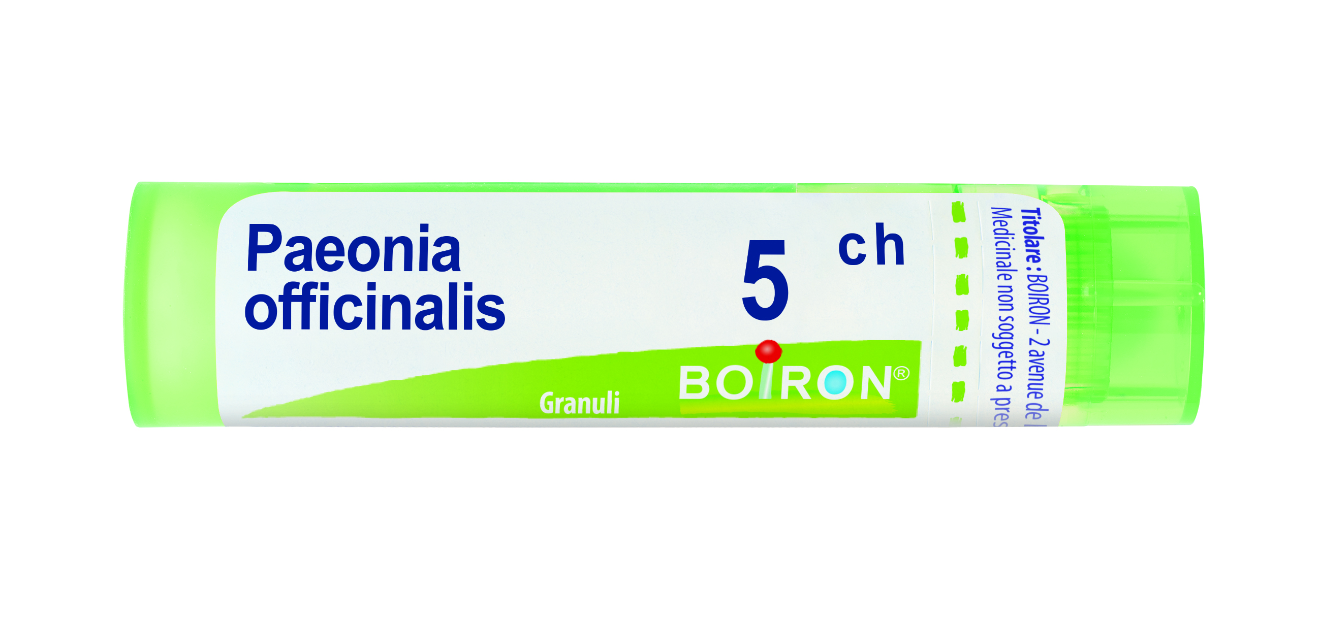 PAEONIA OFF BOI*5CH GR 4G - Fontenova srl
