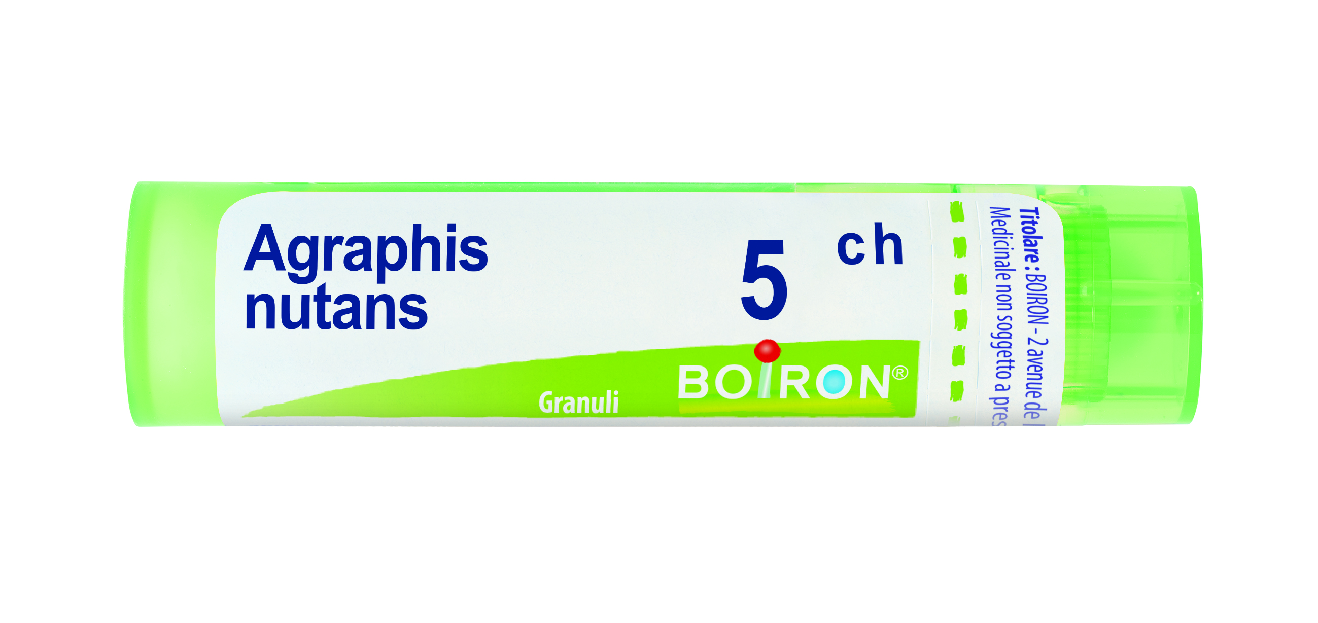 AGRAPHIS NUT BOI*5CH GR 4G - Fontenova srl