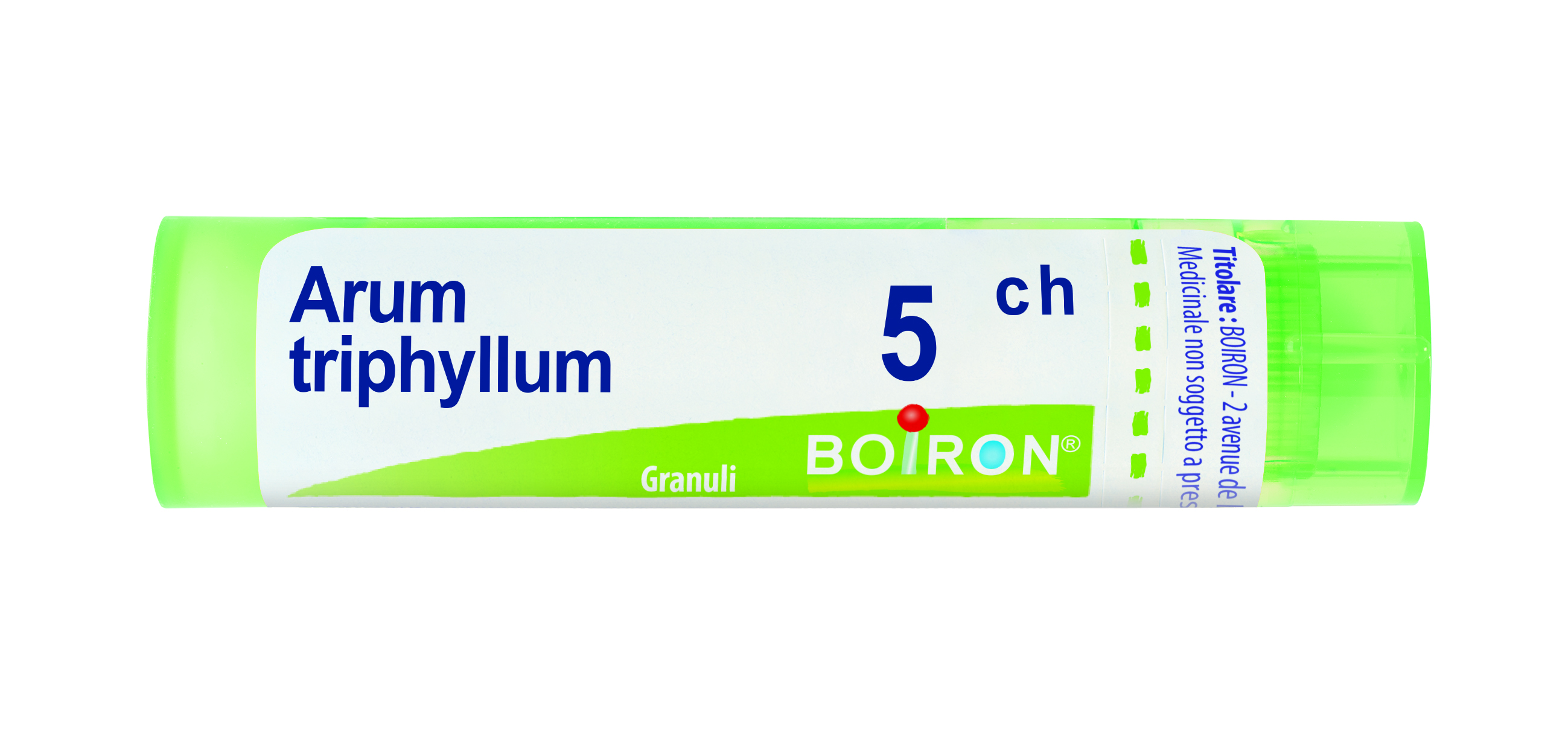ARUM TRIPHYL BOI*5CH GR 4G - Fontenova srl