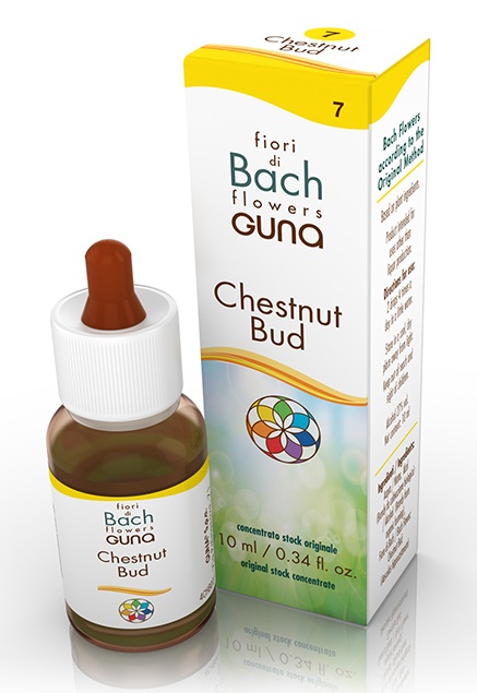 CHESTNUT BUD GOCCE 10 ML - Fontenova srl
