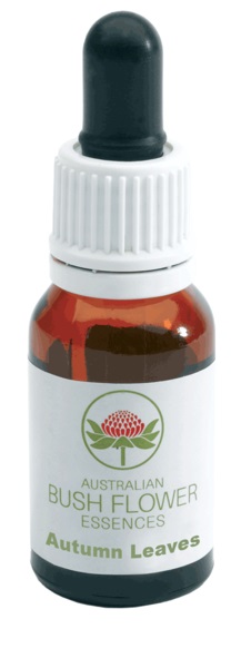 AUTUMN LEAVES GOCCE 15 ML - Fontenova srl