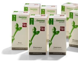LENTISCO MACERATO GLICERICO 200 ML - Fontenova srl