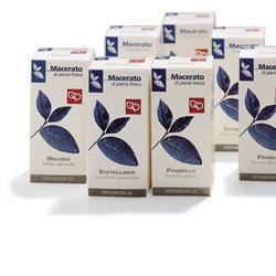 ECHINACEA TINTURA MADRE 50 ML - Fontenova srl