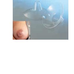 AMEDA CAPPELETTI SENO MEDIA 2 PEZZI - Fontenova srl