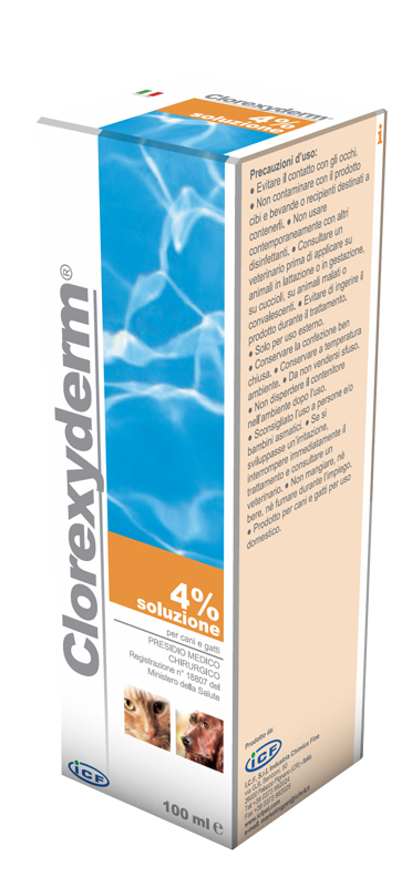 CLOREXYDERM SOL 4% SCHIUMA 100 ML - Fontenova srl