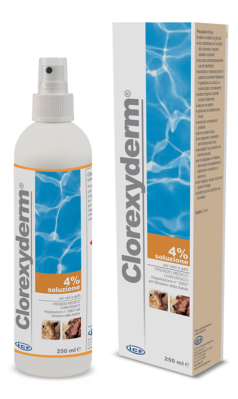 CLOREXYDERM SOLUZIONE 4% 250 ML - Fontenova srl