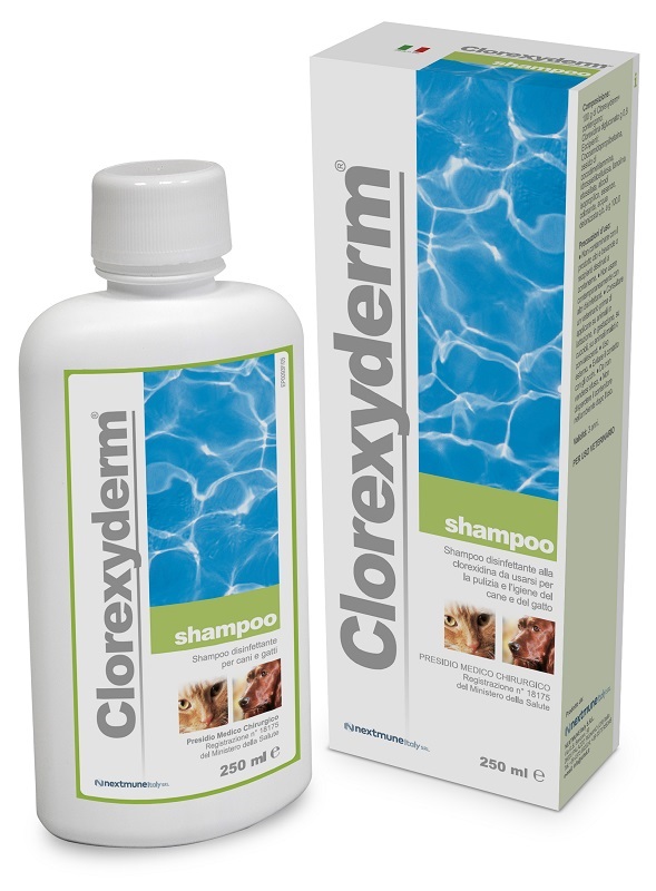 CLOREXYDERM SHAMPOO 250 ML - Fontenova srl