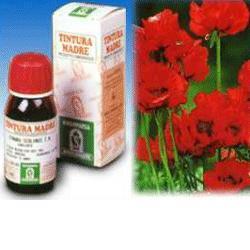 PAPAVERO CALIFORNIA 13 50ML TM - Fontenova srl