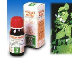 MELISSA 17 50ML TM - Fontenova srl