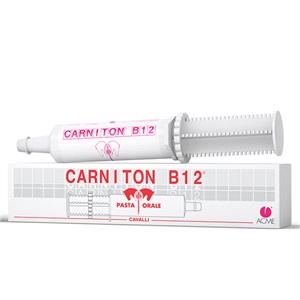 CARNITON B 12 PASTA SIRINGA 100 G - Fontenova srl