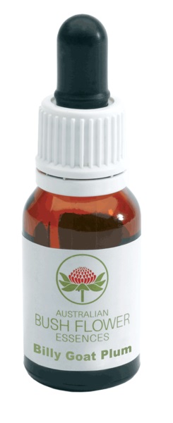 BILLY GOAT PLUM GOCCE 15 ML - Fontenova srl