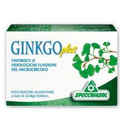 GINKGO PLUS 30 CAPSULE - Fontenova srl