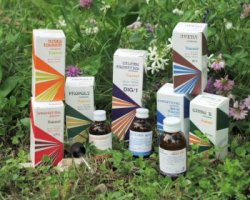 RAEMIL GINEPRO MACERATO IDROALCOLICO COMP 50 ML - Fontenova srl