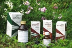 RAEMIL IPERICO OLIO 100 ML - Fontenova srl