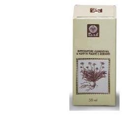 ROSA CANINA GEMME ANALCOLICO 50 ML - Fontenova srl