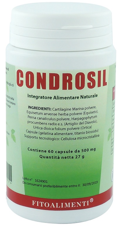 CONDROSIL 60 CAPSULE - Fontenova srl