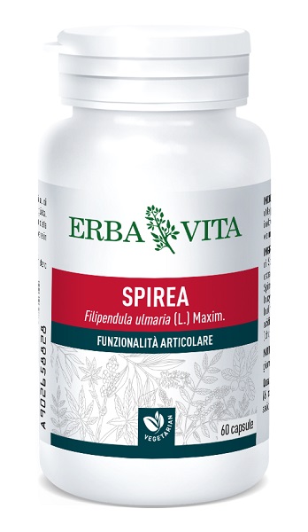 SPIREA ULMARIA 60 CAPSULE 400 MG - Fontenova srl