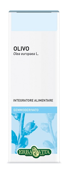 GEMMODERIVATO OLIVO 50 ML - Fontenova srl