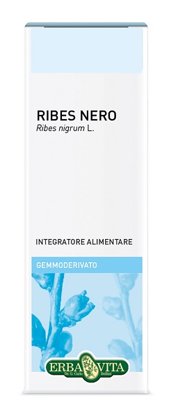 GEMMODERIVATO RIBES NERO 50 ML - Fontenova srl
