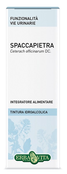 SPACCAPIETRA TINTURA IDROALCOLICA 50 ML EBV - Fontenova srl