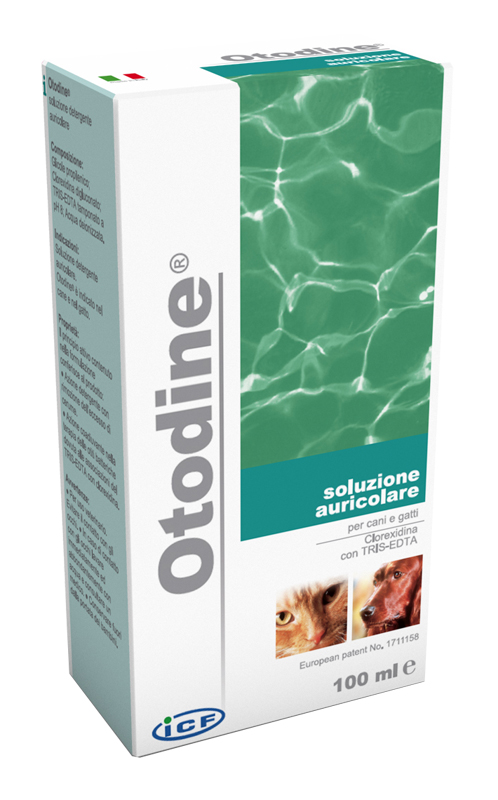 OTODINE DETERGENTE LIQUIDO 100 ML - Fontenova srl