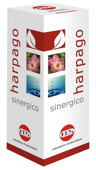 HARPAGO SINERGICO GOCCE 100 ML - Fontenova srl