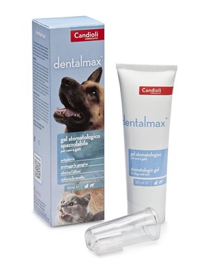 DENTALMAX GEL STOMATOLOGICO 50 ML - Fontenova srl