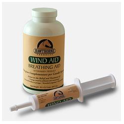 WIND AID SCIROPPO 947 ML - Fontenova srl