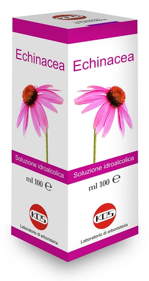 ECHINACEA SOLUZIONE IDROALCOLICA PIANTA FRESCA 100 ML - Fontenova srl