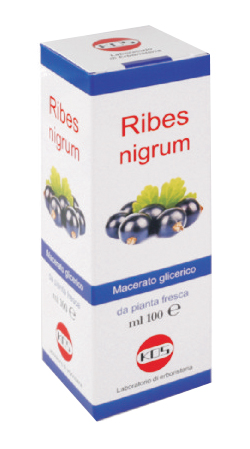 RIBES NIGRUM MACERATO GLICERICO 100 ML GOCCE - Fontenova srl