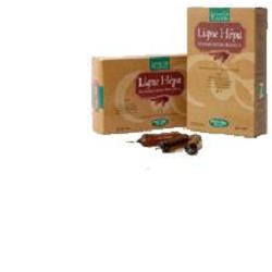 LIGNE CAPIL 20 AMPOLLE BEVIBILI DA 15 ML - Fontenova srl