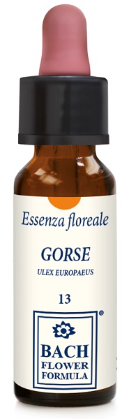 GORSE ORIGINAL GOCCE 10 ML - Fontenova srl