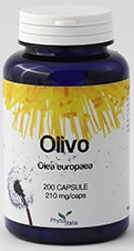 OLIVO 60 CAPSULE - Fontenova srl