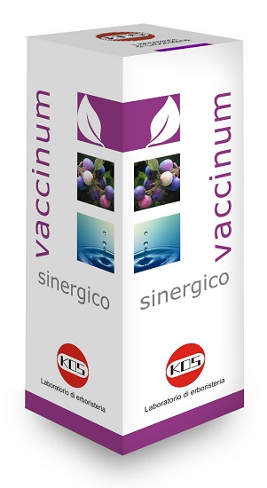 VACCINIUM SINERGICO GOCCE 100 ML - Fontenova srl