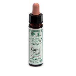 AINSWORTHS CHERRY PLUM 10ML - Fontenova srl