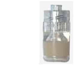 TAPPO STERILE PERFORATO LUER - Fontenova srl