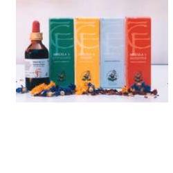 MISCELA 3 PRIMAVERA 100 ML - Fontenova srl