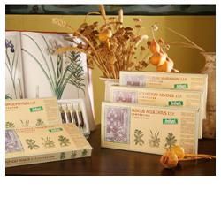 HARPAGOPHY COMP 12F STV - Fontenova srl