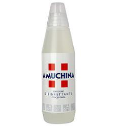 AMUCHINA LIQUIDA 100% DISINFETTANTE IGIENIZZANTE A BASE DI IPOCLORITO DI SODIO ANTIMICROBICO AD AMPIO SPETTRO D'AZIONE 1000 ML - Fontenova srl