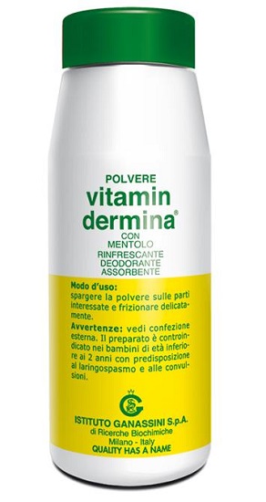 VITAMINDERMINA POLVERE MENT 100 G - Fontenova srl