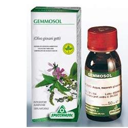 GEMMOSOL 36 RIBES NERO 50ML - Fontenova srl