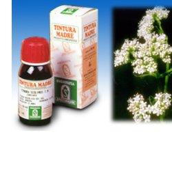 VALERIANA 36 TINTURA MADRE 50 ML - Fontenova srl