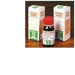 ERISIMO 61 50ML TM - Fontenova srl