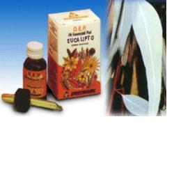 EUCALIPTO OLIO ESSENZIALE 10 ML - Fontenova srl