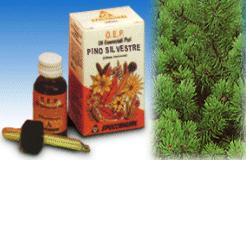 PINO SILVESTRE OLIO ESSENZIALE PURO 10 ML - Fontenova srl