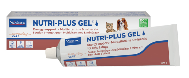 NUTRIPLUS GEL PASTA ORALE 120 G - Fontenova srl