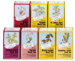 SALVIA TISANA 15 FILTRI BIO - Fontenova srl