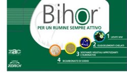 BIHOR DIET RUMINATIVO 12 BUSTE DA 125 G - Fontenova srl