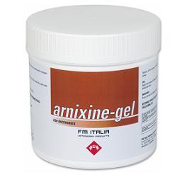 ARNIXINE GEL 750 ML - Fontenova srl